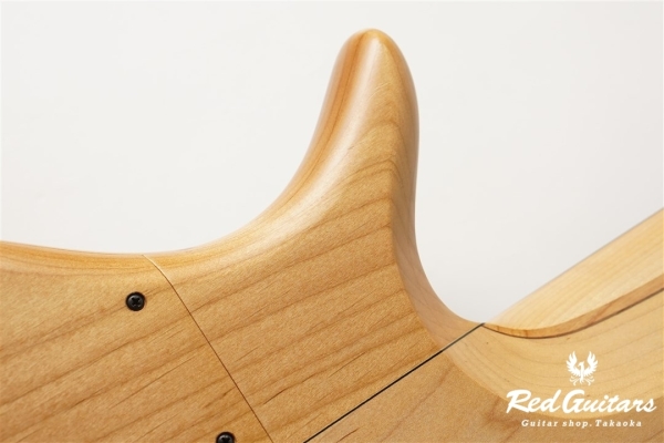 Platinum Series Single-Cut , e-volution 5 - Macassar Ebony